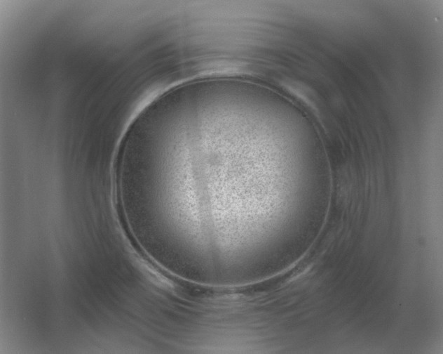 X0000062611467200512281451