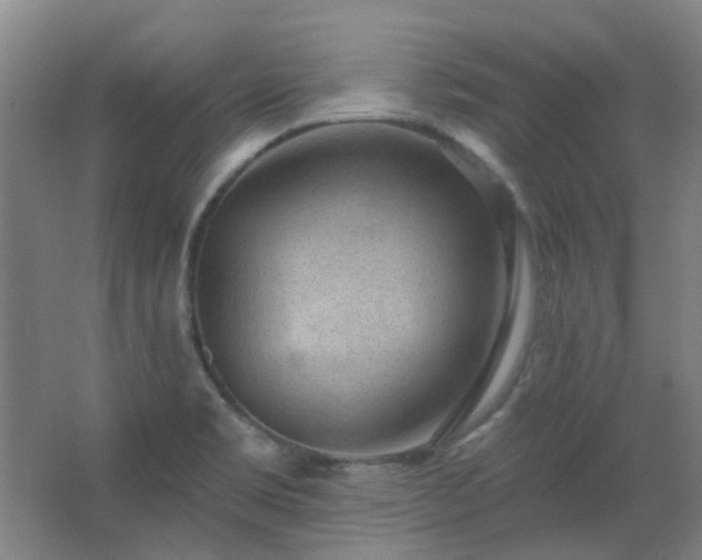 X0000062611469200512281451