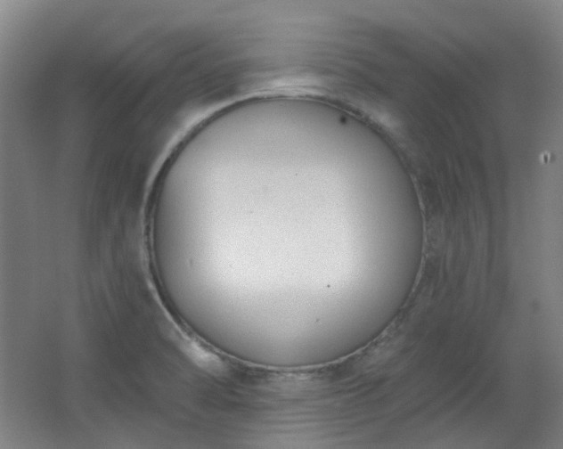 X0000062611470200512281451