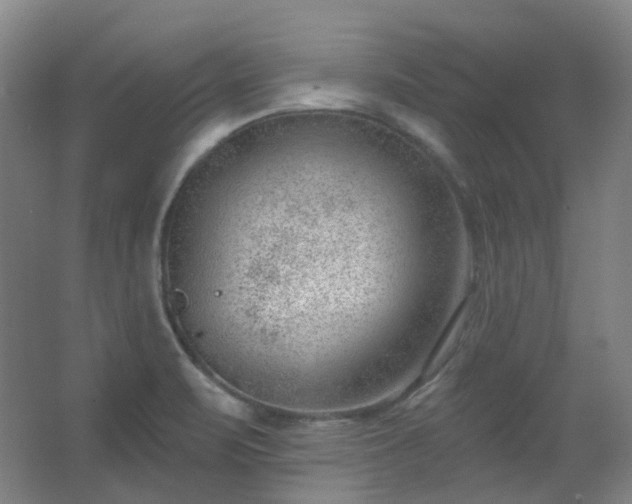 X0000062611471200512281451