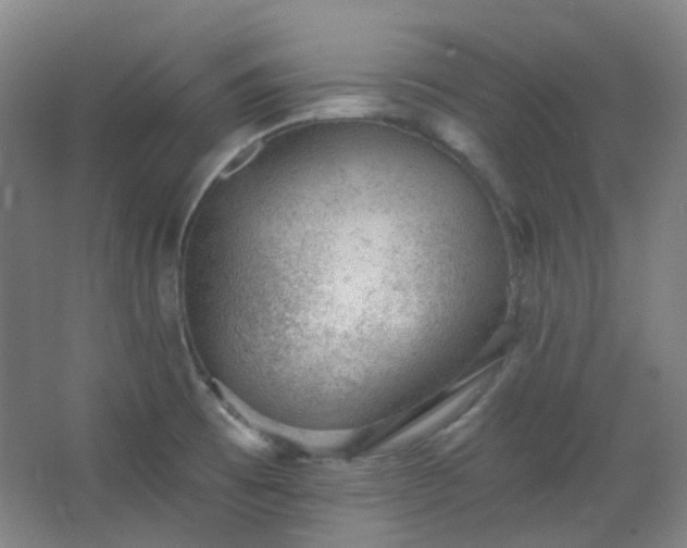 X0000062611473200512281451