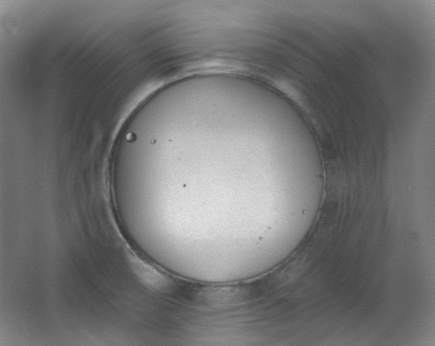 X0000062611474200512281451