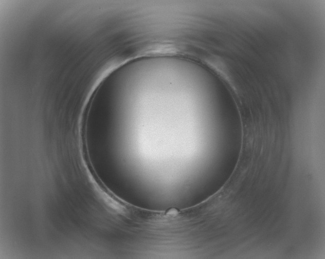 X0000062611475200512281451