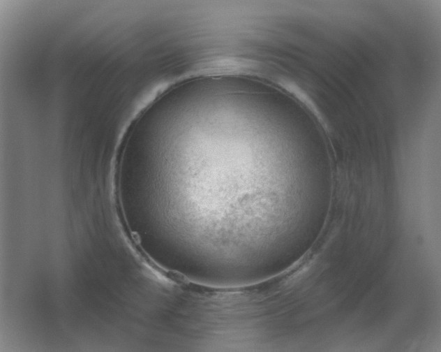 X0000062611477200512281451