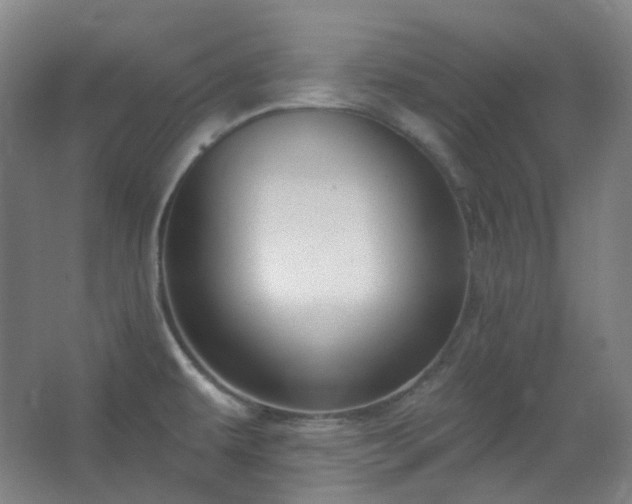 X0000062611479200512281451