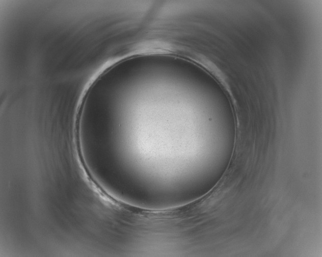 X0000062611488200512281450