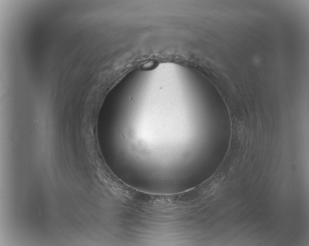 X0000062611489200512281450