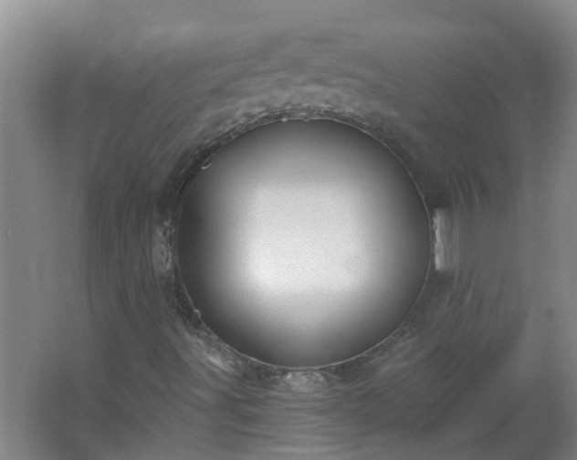 X0000062611491200512281450