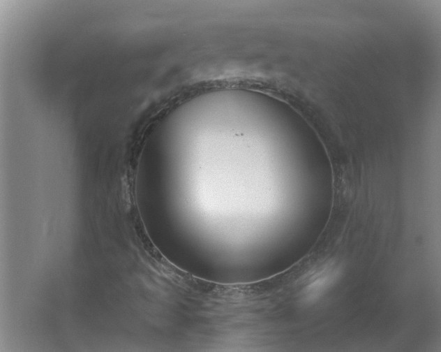 X0000062611493200512281450