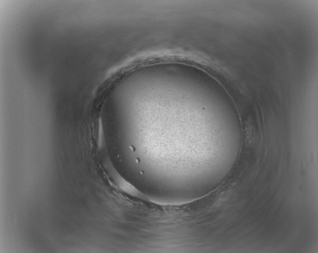 X0000062611494200512281450