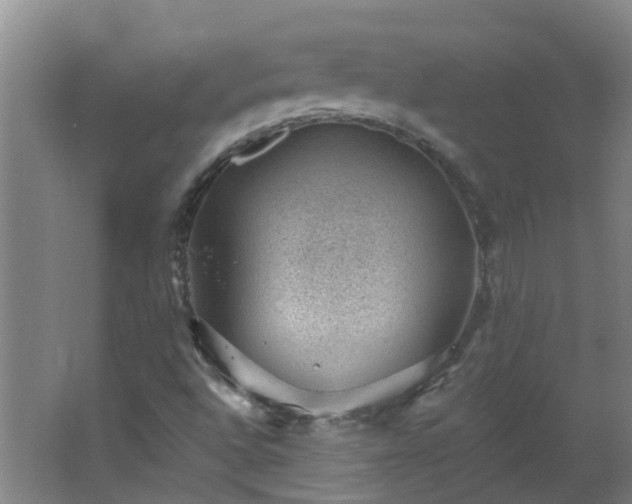 X0000062611496200512281450