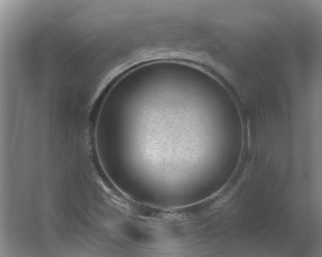 X0000062611501200512281450