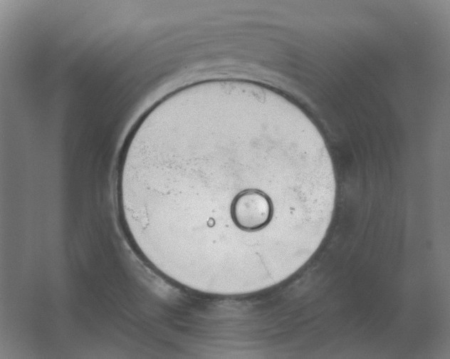 X0000062611514200512281450