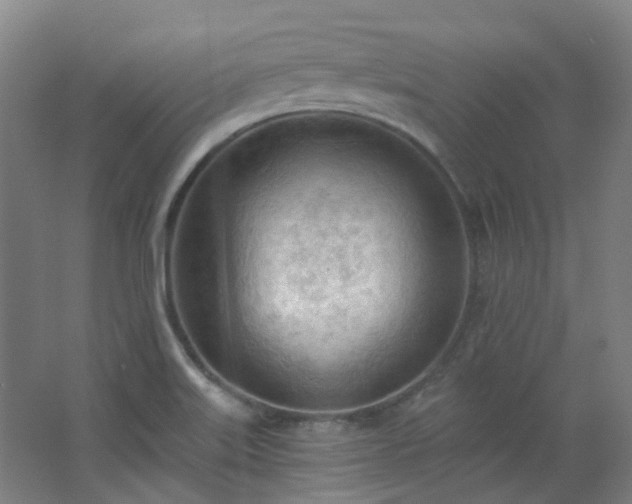 X0000062611515200512281450