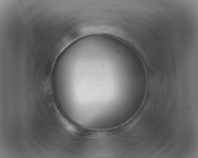 X0000062611521200512281450