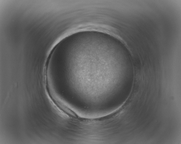 X0000062611522200512281450