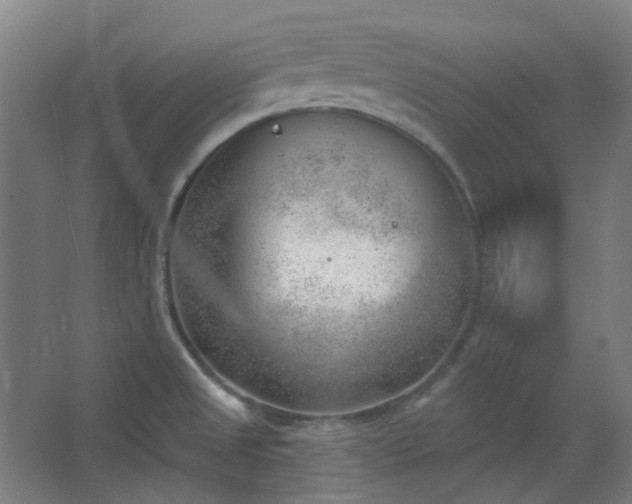 X0000062611525200512281450