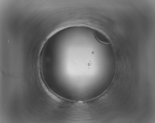 X0000062611526200512281450