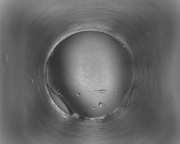 X0000062611532200512281450