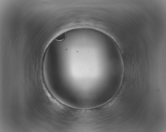 X0000062611534200512281450