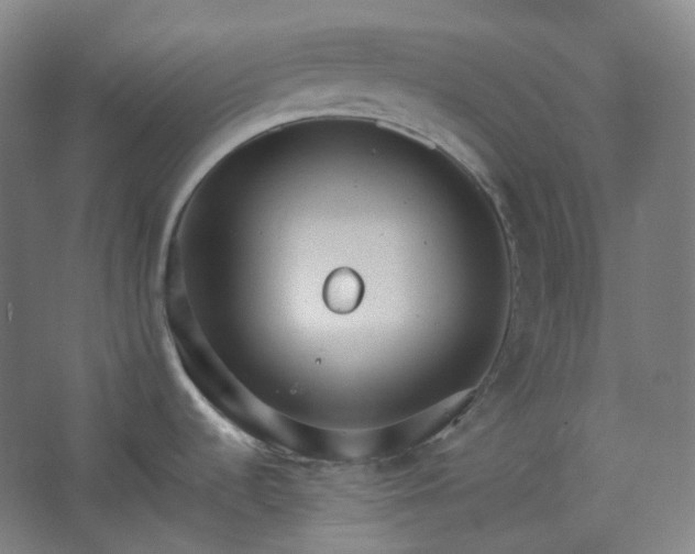 X0000062611536200512281450