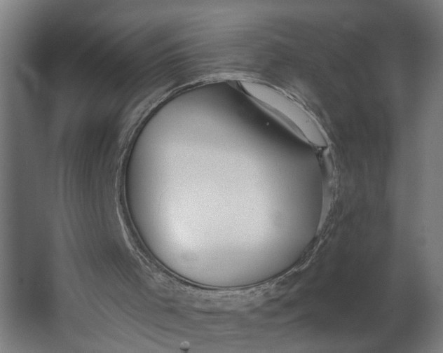 X0000062610001200601040951