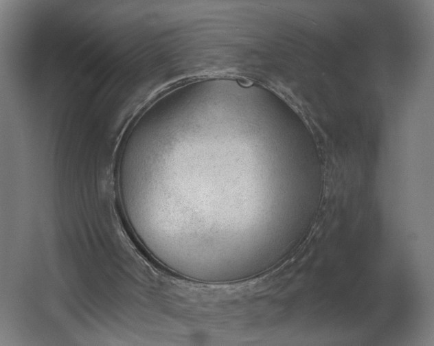 X0000062610002200601040951