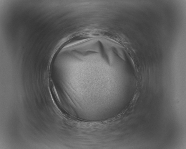 X0000062610003200601040951