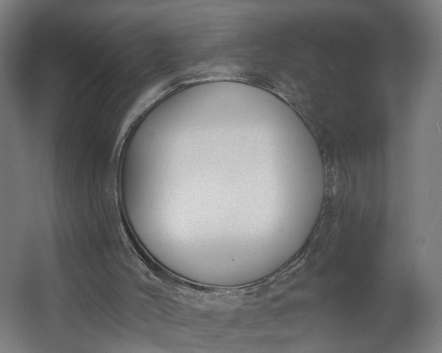 X0000062610004200601040951