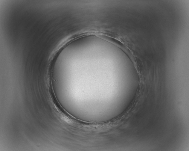 X0000062610005200601040951