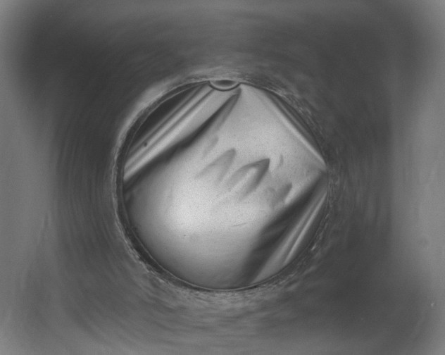 X0000062610006200601040951