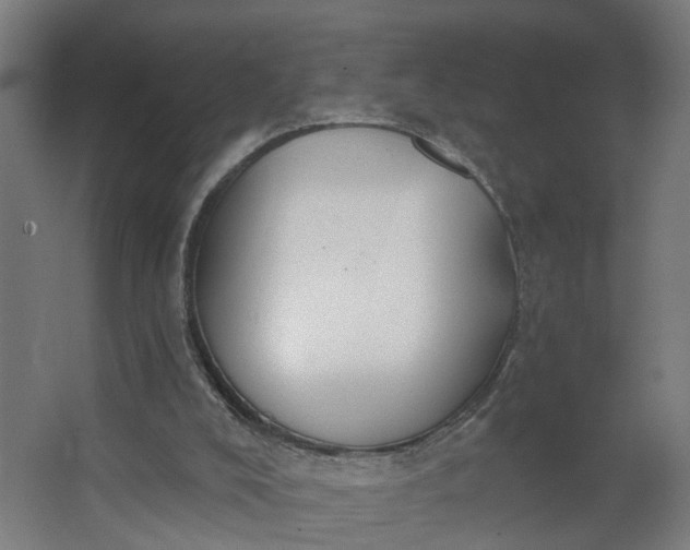 X0000062610008200601040951