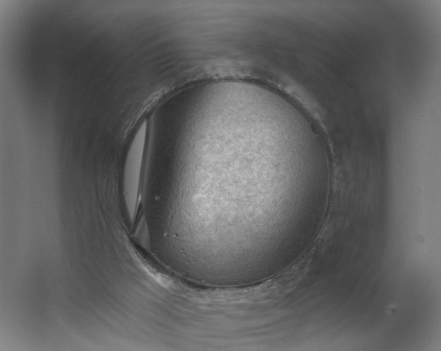 X0000062610009200601040951