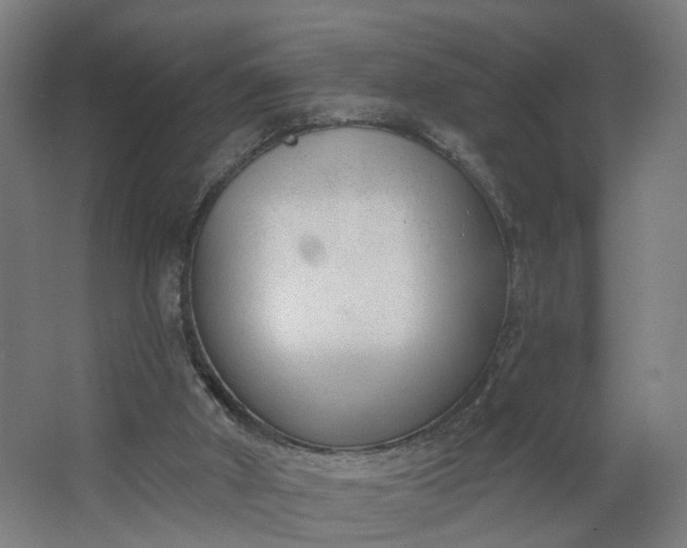 X0000062610010200601040951