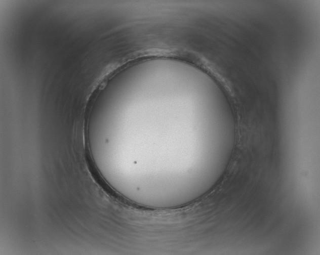 X0000062610011200601040951