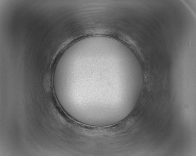 X0000062610012200601040951