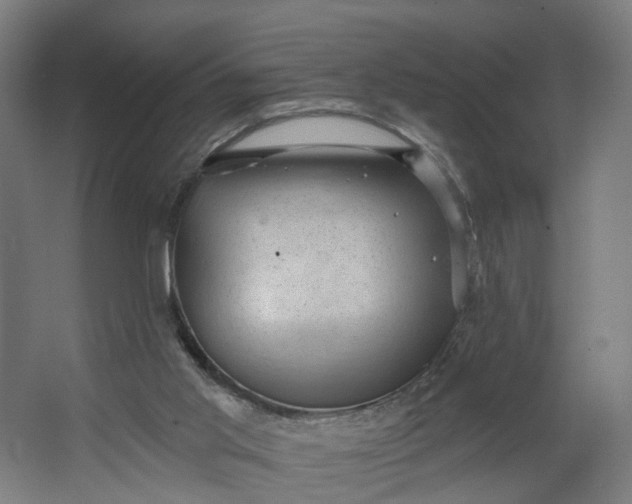 X0000062610013200601040951