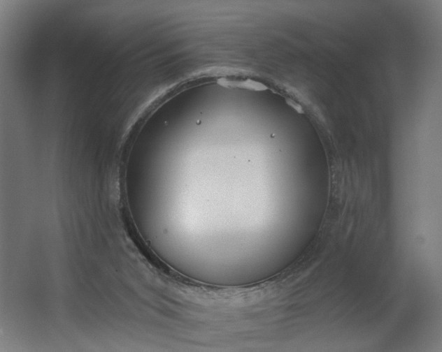 X0000062610015200601040951