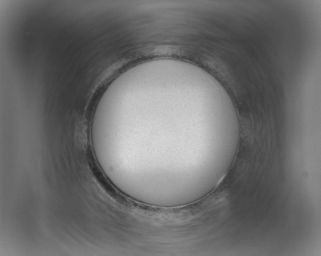 X0000062610016200601040951