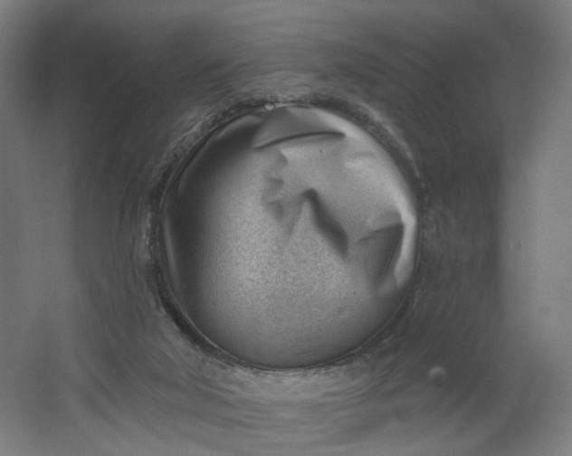 X0000062610018200601040951