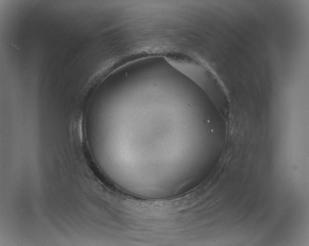 X0000062610019200601040951