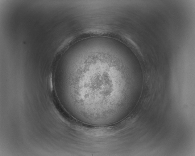 X0000062610020200601040951