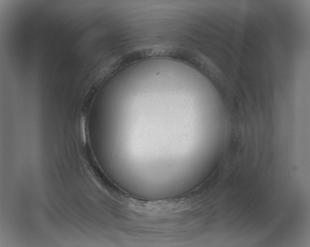 X0000062610022200601040951