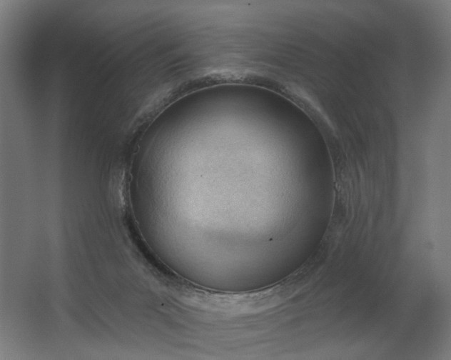 X0000062610023200601040951