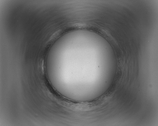 X0000062610024200601040951