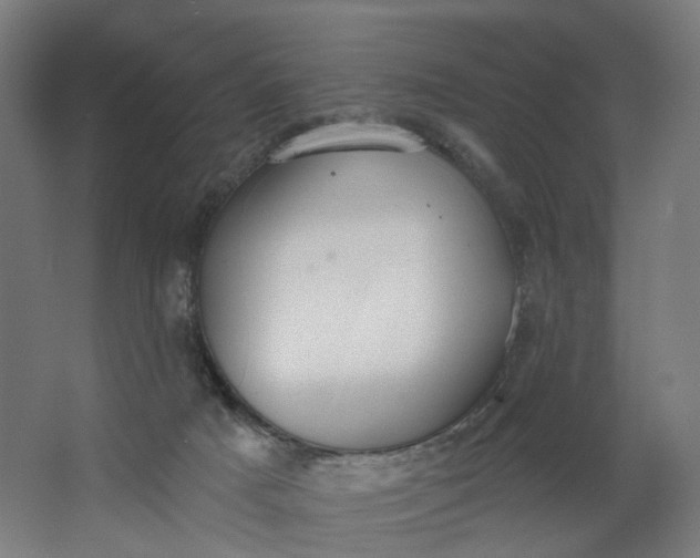 X0000062610025200601040951