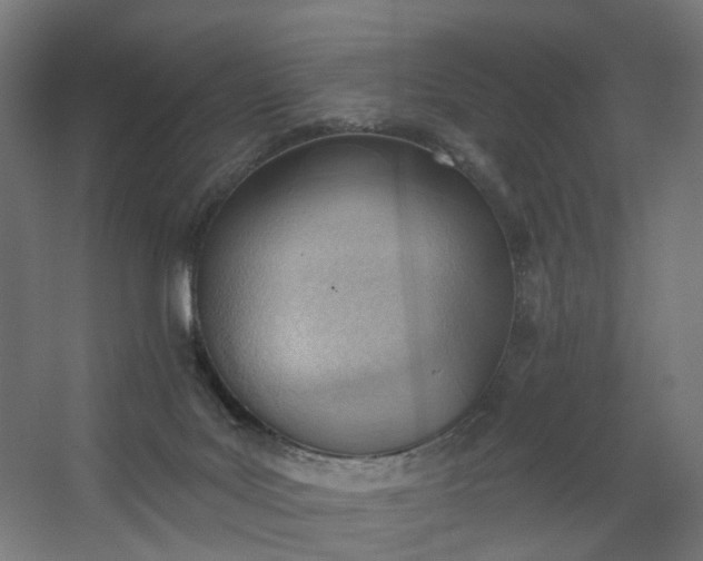 X0000062610027200601040951