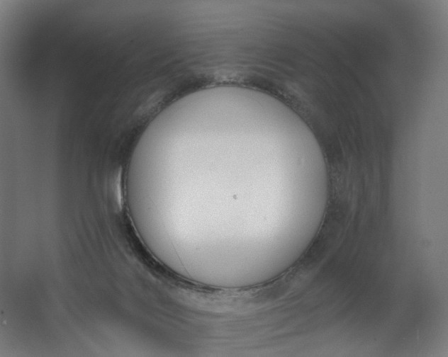 X0000062610028200601040951