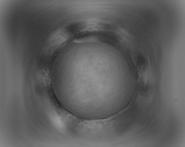 X0000062610029200601040951