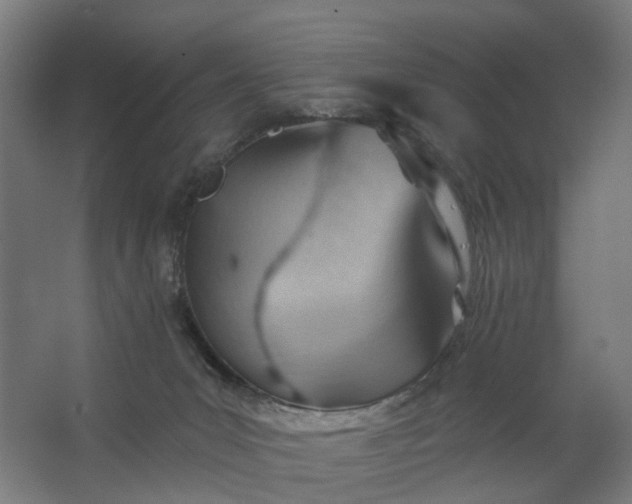 X0000062610031200601040951